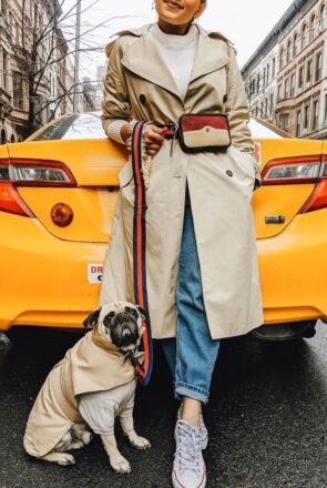 The most stylish, fashion forward pet brands by women of colour. From dog beds, to leads, accessories and more, they have everything your dog needs.