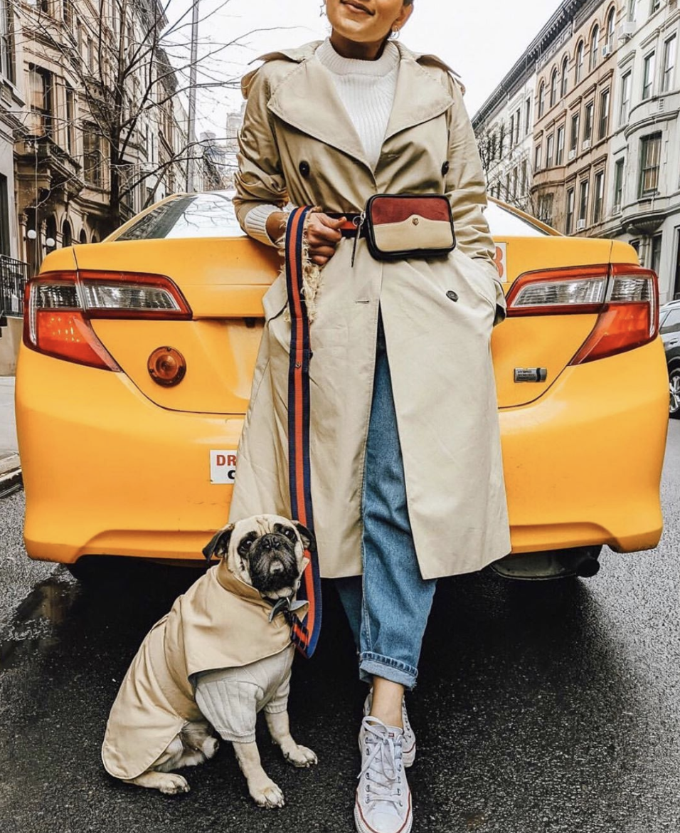 The most stylish, fashion forward pet brands by women of colour. From dog beds, to leads, accessories and more, they have everything your dog needs.
