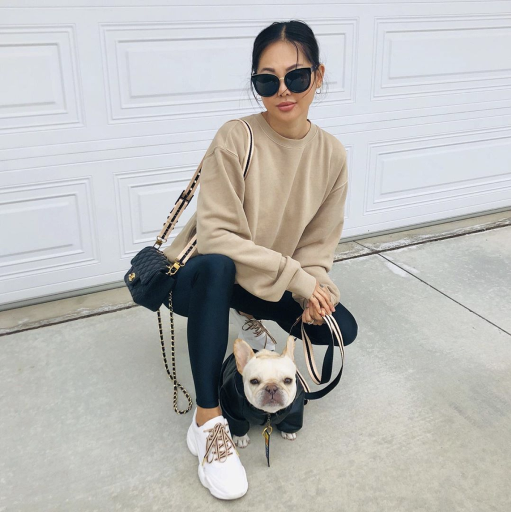 12 Pet Brands by Women of Colour You Need to Know Pretty Fluffy The