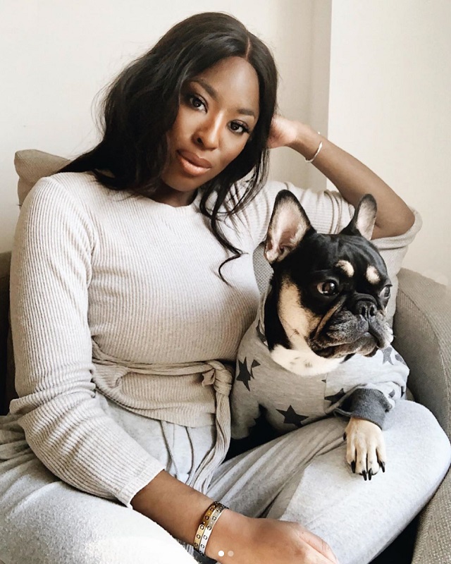 Black Owned Pet Brands To Support Today