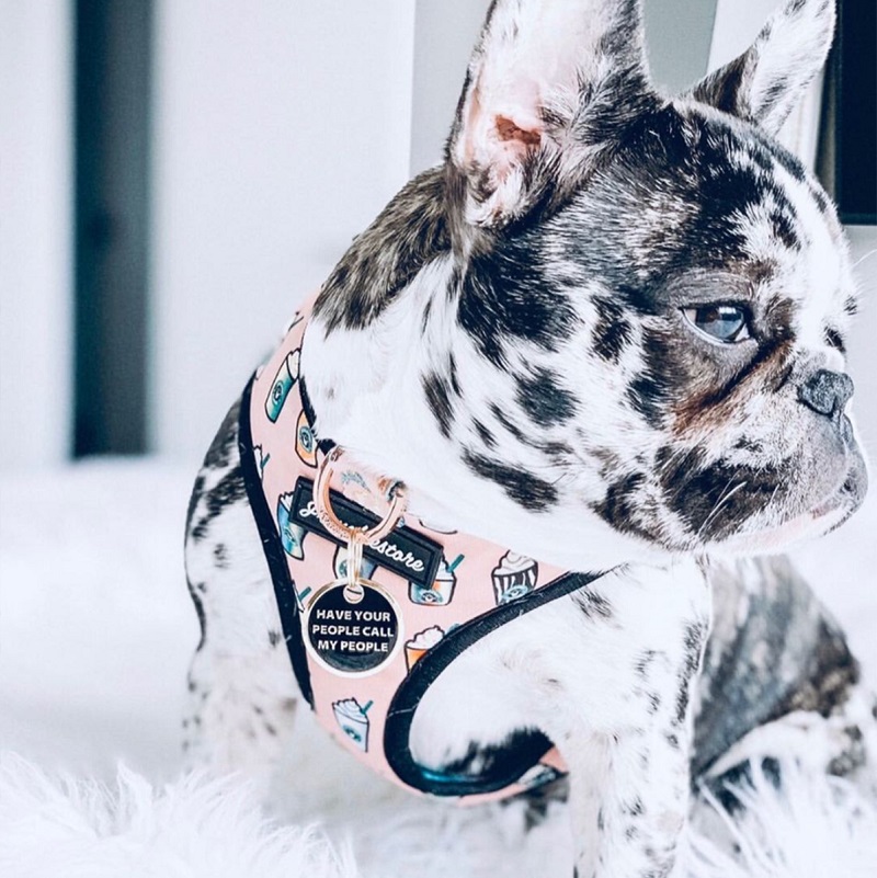 Trill Paws