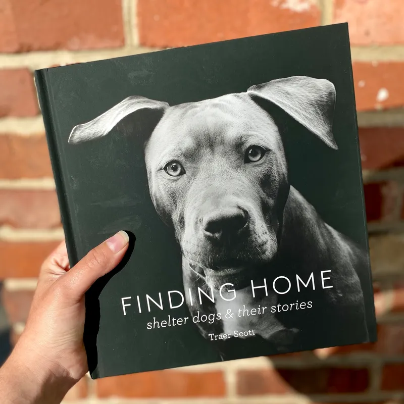 Finding Home: Shelter Dogs and Their Stories - non-fiction books about dogs