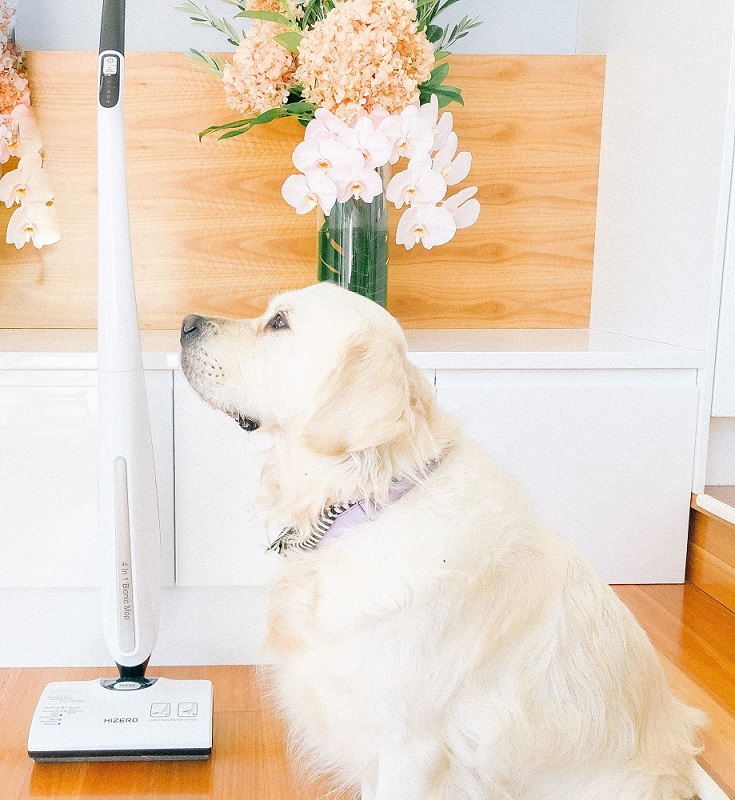 Review: HIZERO All-in-One Cordless Floor Cleaner for Dog Owners