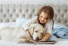 12 Teacher Recommended Books for Children That Love Dogs - Pretty Fluffy