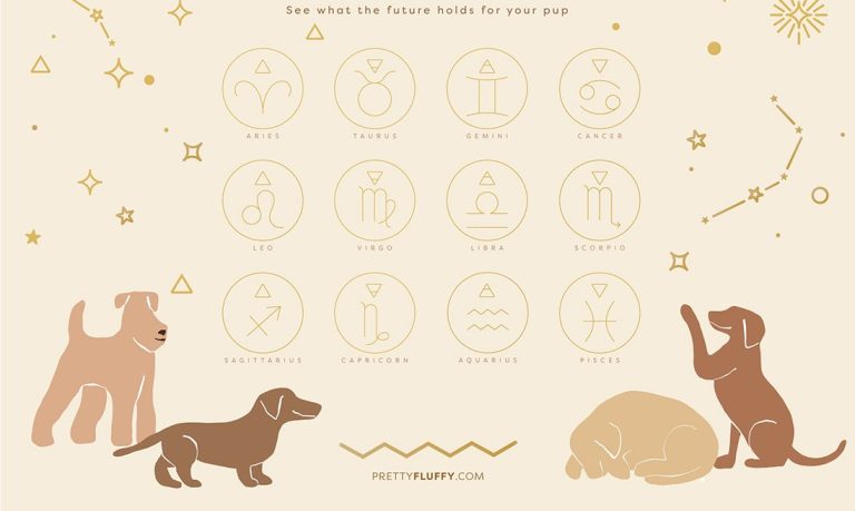 Dog Horoscopes: What Your Dog’s Zodiac Sign Reveals