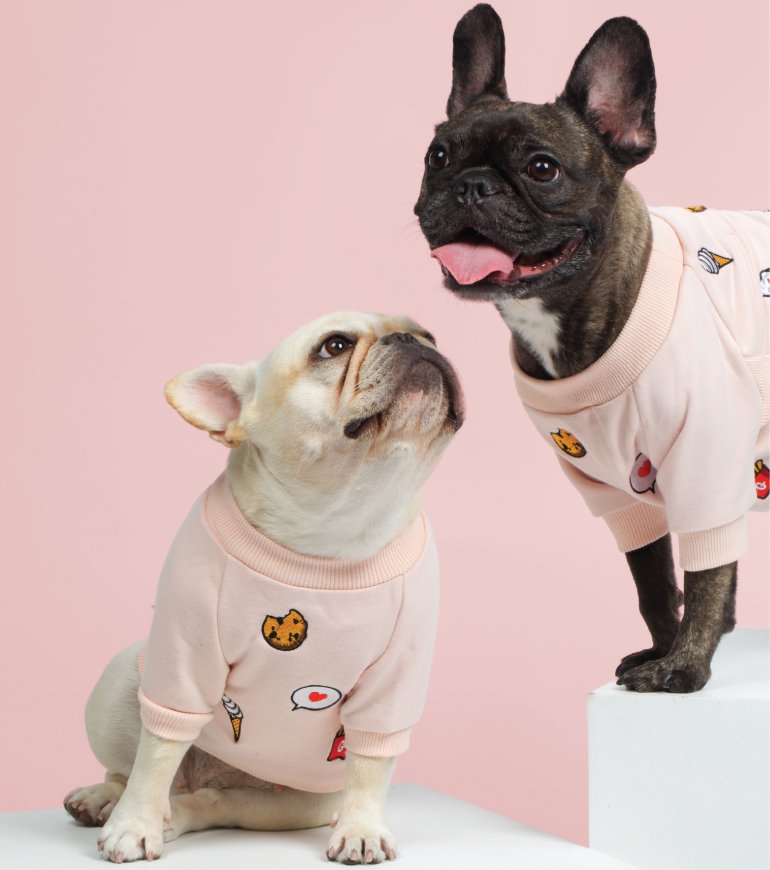Gnocchi & Goma_My Confection Sweater_Valentine’s Day Gift Guide for Dogs