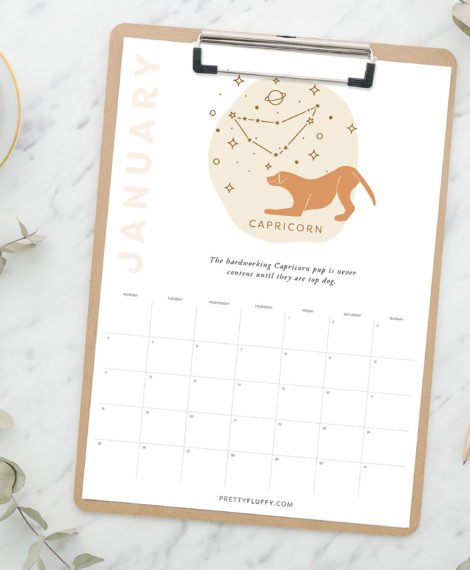 Pretty Fluffy Horoscopes Calendar