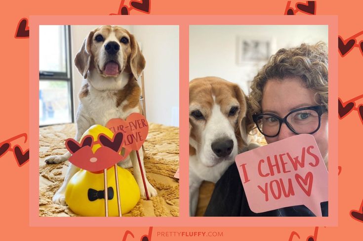@davethebeagle Reader Photos of Valentine's Day Photo Booth Props