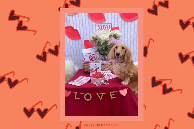 @fifi_in_the_city_Reader Photos of Valentine's Day Photo Booth Props