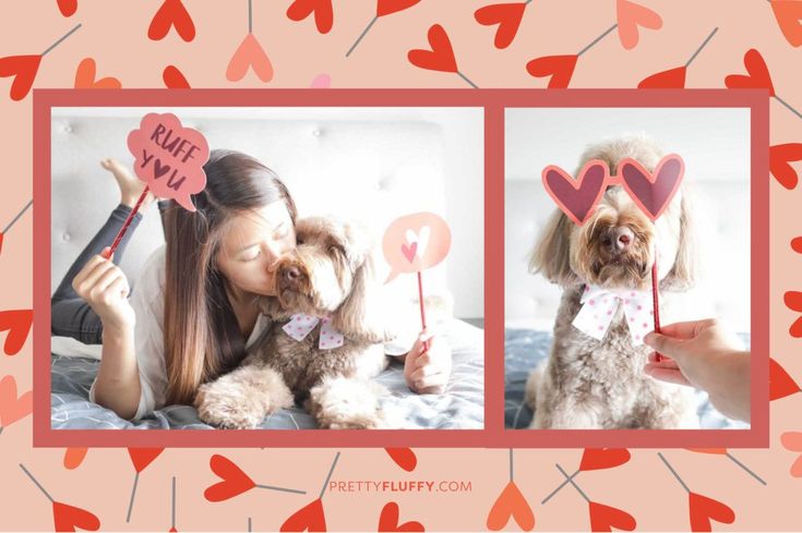 'Ruff You' - Dog Valentine's Day Photo Shoot - Free Valentine's Day Photo Booth Printables at Pretty Fluffy