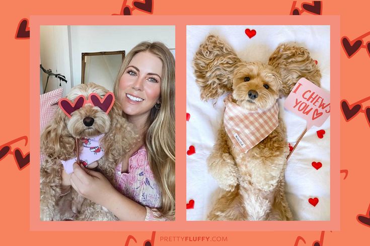 Cute Cavoodle Dog Valentine's Day Photo Shoot - Free Valentine's Day Photo Booth Printables at Pretty Fluffy