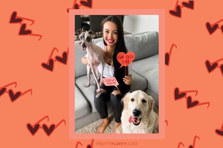 Cute Cavalier Dog Valentine's Day Photo Shoot - Free Valentine's Day Photo Booth Printables at Pretty Fluffy
