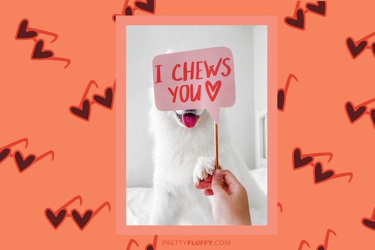 'I Chews You' - Dog Valentine's Day Photo Shoot - Free Valentine's Day Photo Booth Printables at Pretty Fluffy