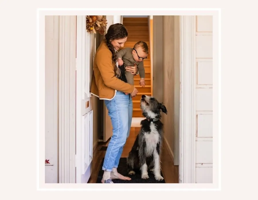 Herzog _ International Womans Day _ Woman Owned Pet Business