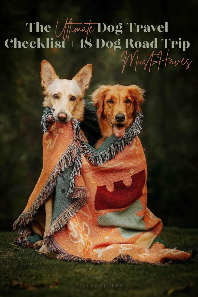 The Ultimate Dog Travel Checklist + 18 Road Trip MustHaves Pet Travel
