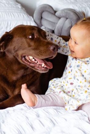 5 Skills to Teach Your Dog When Around Children
