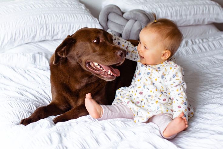 5 Skills to Teach Your Dog When Around Children