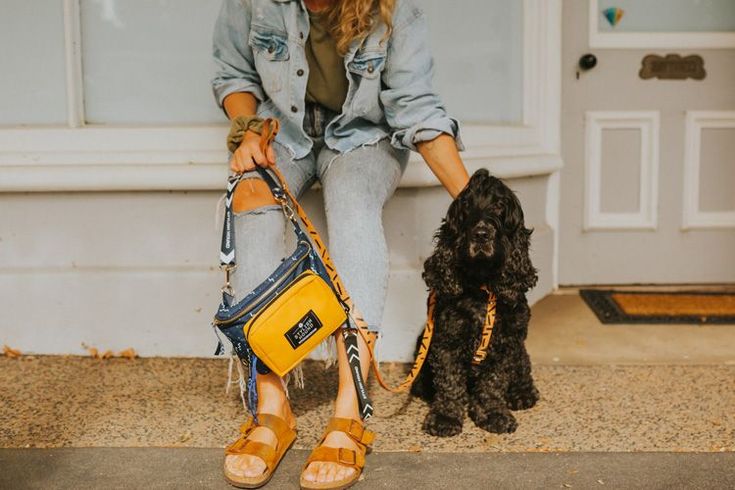 pet friendly travel maison maffra