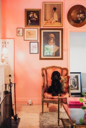 pet friendly travel maison maffra - interior - dog in hotel