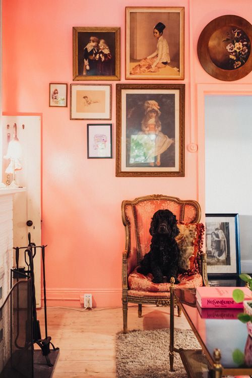 pet friendly travel maison maffra - interior