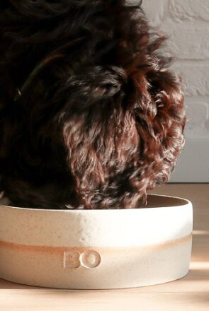 Personalized Ceramic Dog Food Bowl by Pawness.