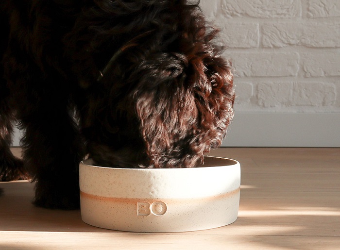 Personalized Ceramic Dog Food Bowl by Pawness.