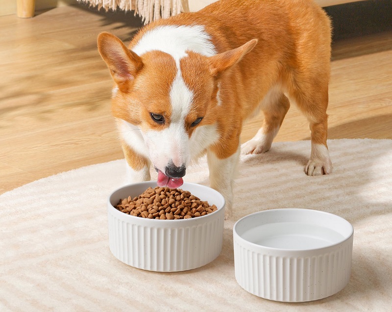 Wellbro Non-Slip Ceramic Dog Bowls