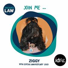 Anti-puppy farming campaign: Oscar's Law IdPet ID Tag Fundraiser Campaign