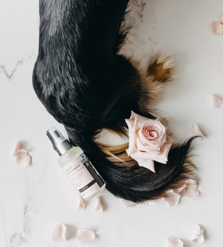 Dog Grooming Products - Organic Pet Co