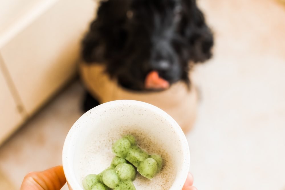 Pretty Fluffy - Homemade DIY Natural Dog Breath Treats_