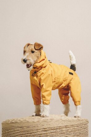 9 Stylish Dog Raincoats More Trendy Than Yours- Yellow Dog Overalls by Hunting Pony