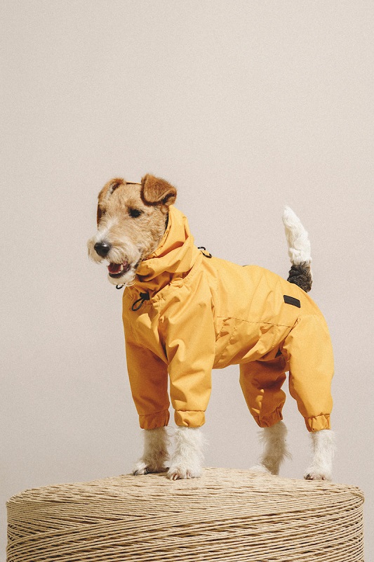 9 Stylish Dog Raincoats More Trendy Than Yours- Yellow Dog Overalls by Hunting Pony