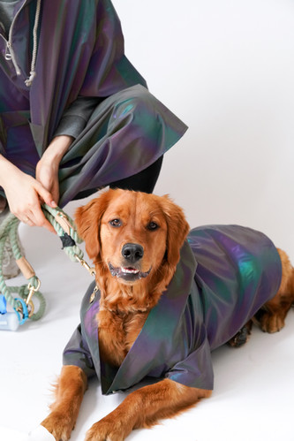 Weather Proof Pet Coat by AAPetPeople | 9 Stylish Dog Raincoats More Trendy Than Yours - Pretty Fluffy