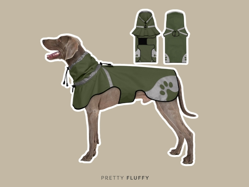 Ayaseen Dog Raincoat for Medium Dogs