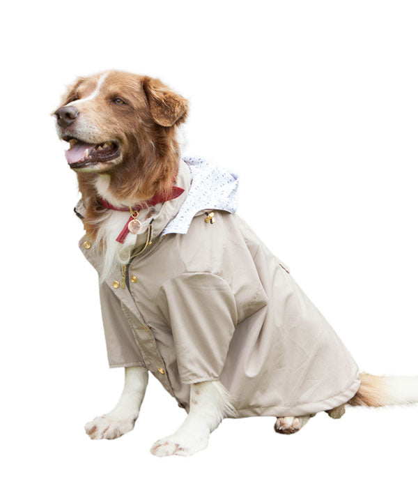 Beige Raincoat by Feroz Urban Pet Fashion | 9 Stylish Dog Raincoats More Trendy Than Yours - Pretty Fluffy