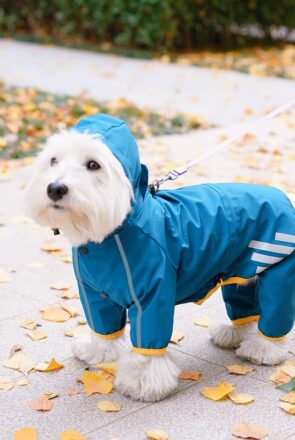 Mabawa RainCoat with Leash Hole - 9 Stylish Dog Raincoats More Trendy Than Yours