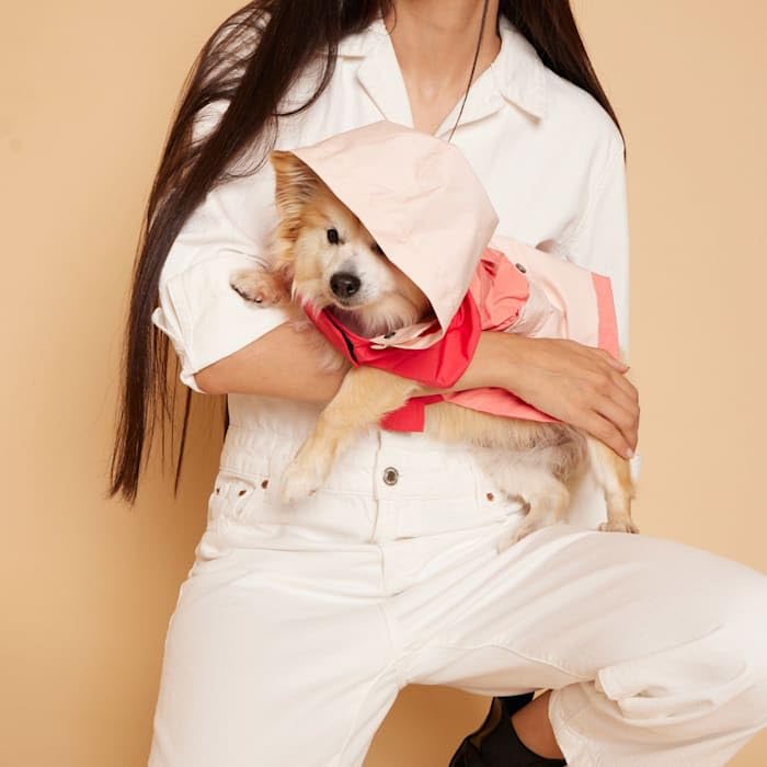 Weather Ready Rain Parka by Maxbone | 9 Stylish Dog Raincoats More Trendy Than Yours - Pretty Fluffy
