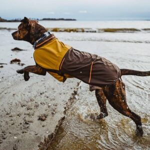 Ruffwear Sun Shower Dog Raincoat