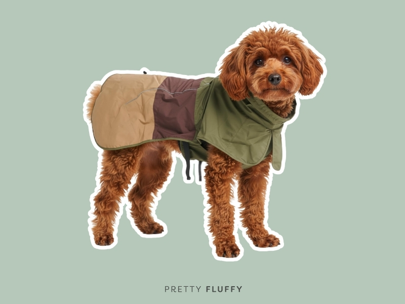 Spark Paws Dog Raincoat