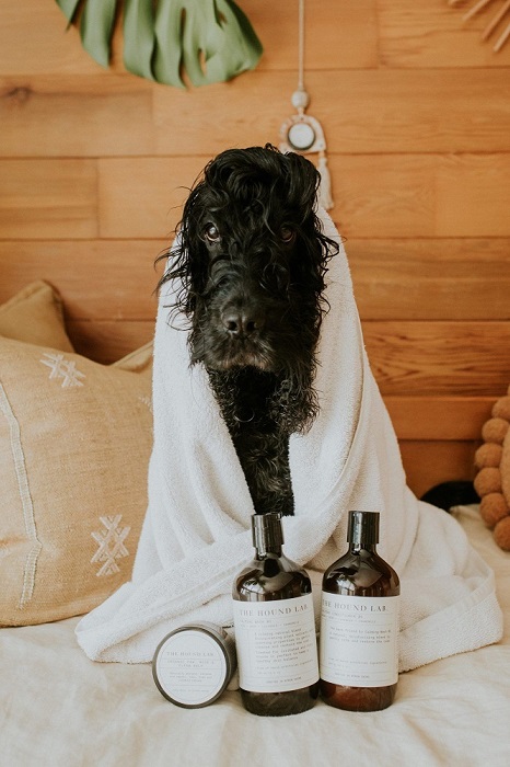 Black Cocker Spaniel in Bath Towel - The Hound Lab - 100% Natural Dog Shampoo & Conditioner