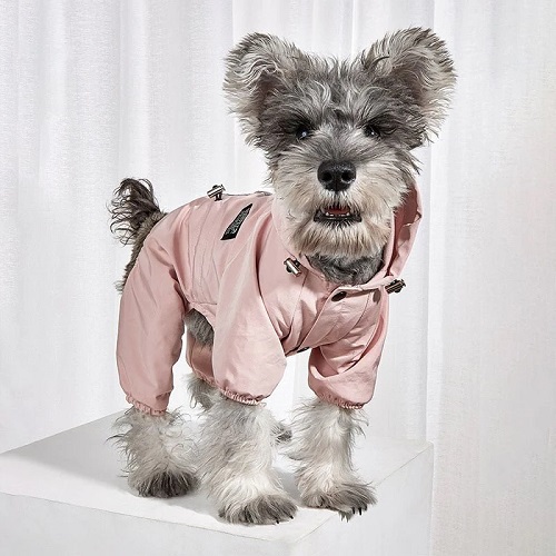 The Waterproof Reflective Dog Raincoat - Dusty Pink by House of Pets Delight | 9 Stylish Dog Raincoats More Trendy Than Yours