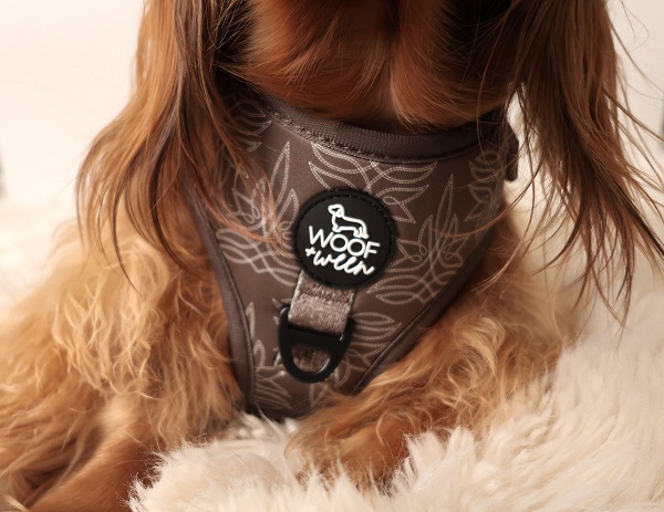 Step-In Adventure Large Dog Harness by woof and ween