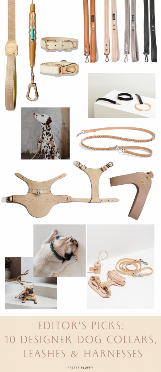 Editor's Picks 10 Designer Dog Collars, Leashes & Harnesses