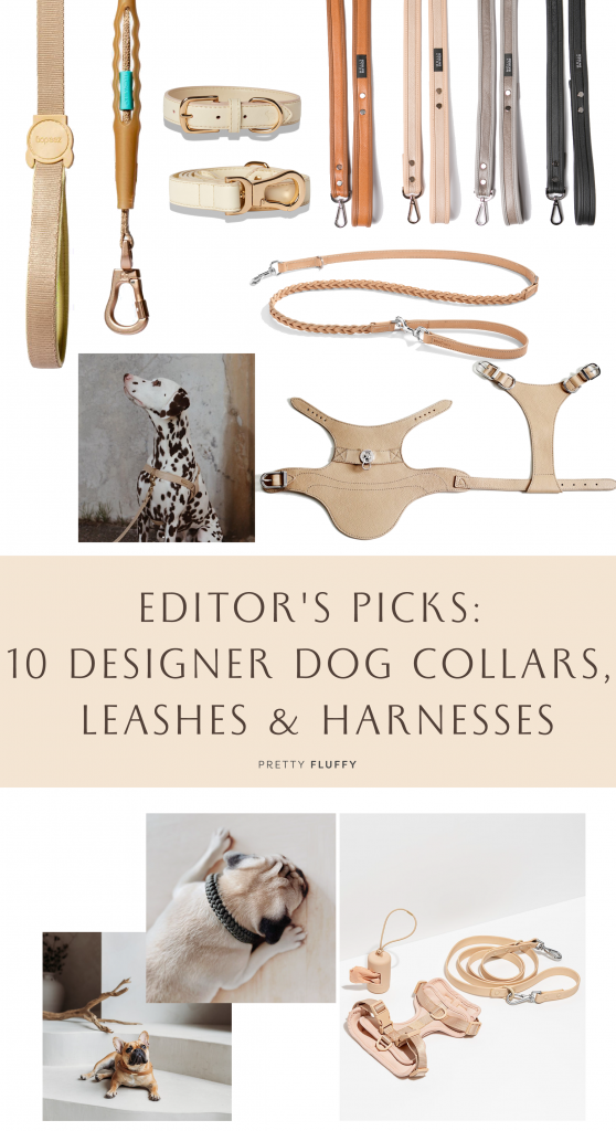 Editor's Picks 10 Designer Dog Collars, Leashes & Harnesses