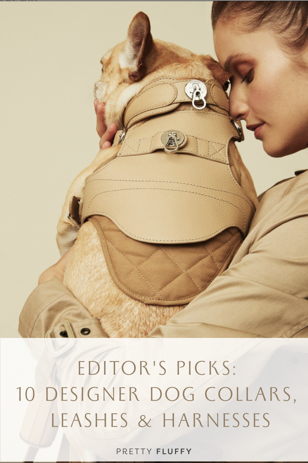 Editor's Picks 10 Designer Dog Collars, Leashes & Harnesses