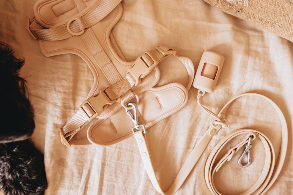 Editor's Picks 10 Designer Dog Collars, Leashes & Harnesses