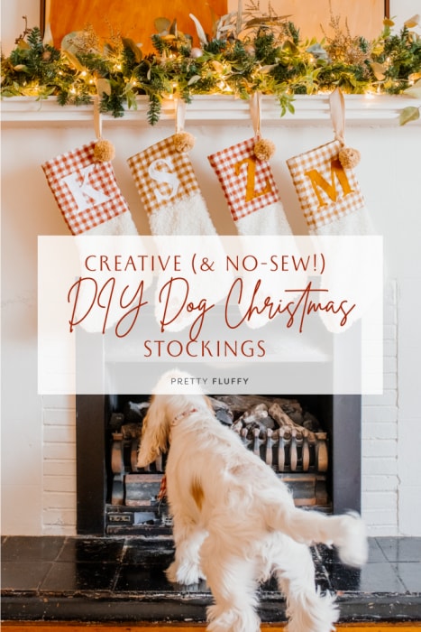 Creative (& No-Sew!) DIY Dog Stockings