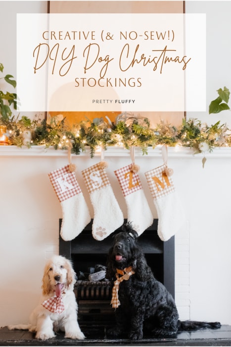 Creative (& No-Sew!) DIY Dog Stockings