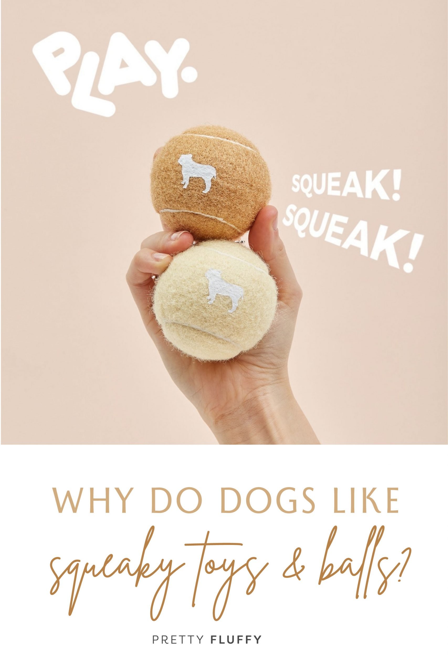Why Do Dogs Like Squeaky Toys and Balls? Pretty Fluffy The Ultimate