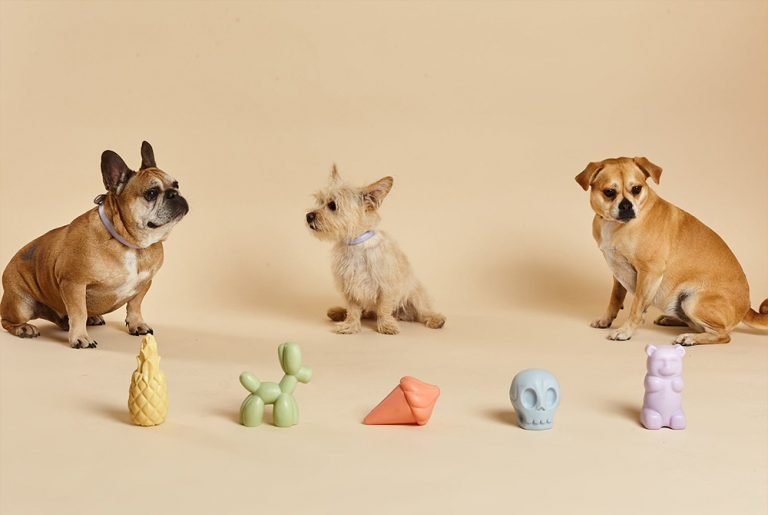 Not All Dog Toys are Equal How to Choose Quality Dog Toy Brands